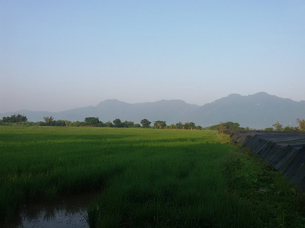 สร้างบ้านใหม่หลังน้อยให้ตายาย เป็นบ้านชั้นเดียวแสนอบอุ่น