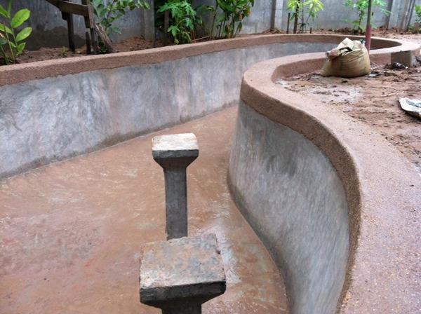 ขุดบ่อปลาคาร์พเองแบบไม่ได้ตั้งใจ ผลงานเจ๋งไปเลย