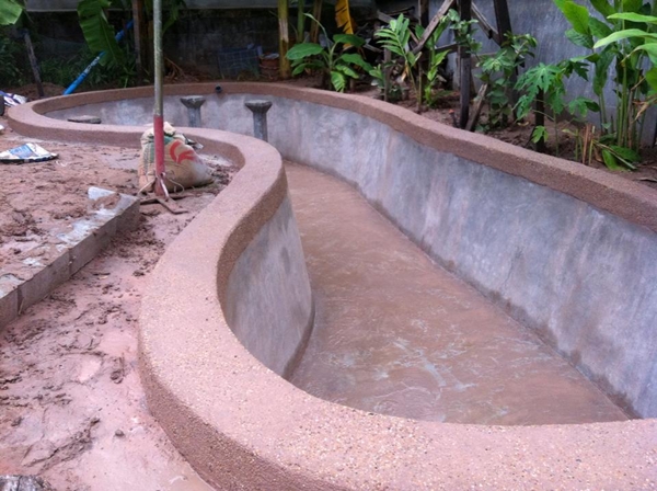 ขุดบ่อปลาคาร์พเองแบบไม่ได้ตั้งใจ ผลงานเจ๋งไปเลย