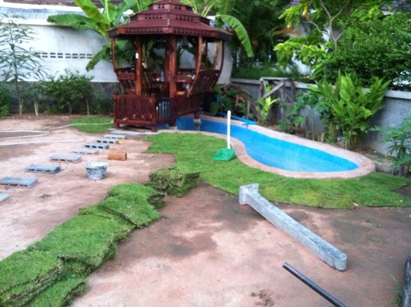 ขุดบ่อปลาคาร์พเองแบบไม่ได้ตั้งใจ ผลงานเจ๋งไปเลย