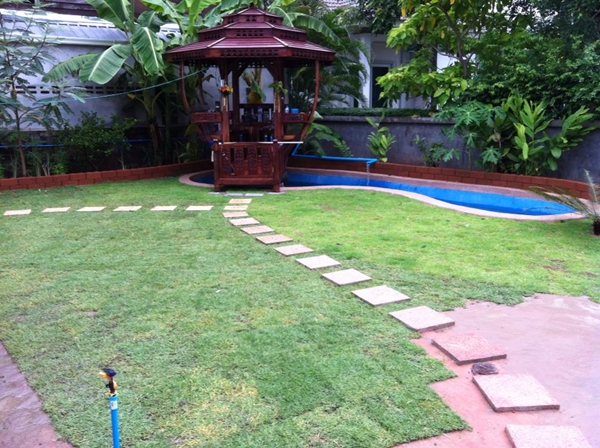 ขุดบ่อปลาคาร์พเองแบบไม่ได้ตั้งใจ ผลงานเจ๋งไปเลย