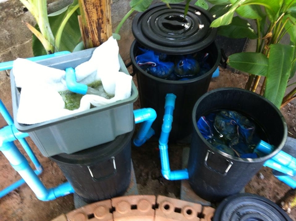 ขุดบ่อปลาคาร์พเองแบบไม่ได้ตั้งใจ ผลงานเจ๋งไปเลย