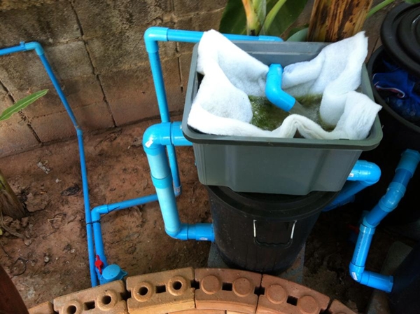 ขุดบ่อปลาคาร์พเองแบบไม่ได้ตั้งใจ ผลงานเจ๋งไปเลย