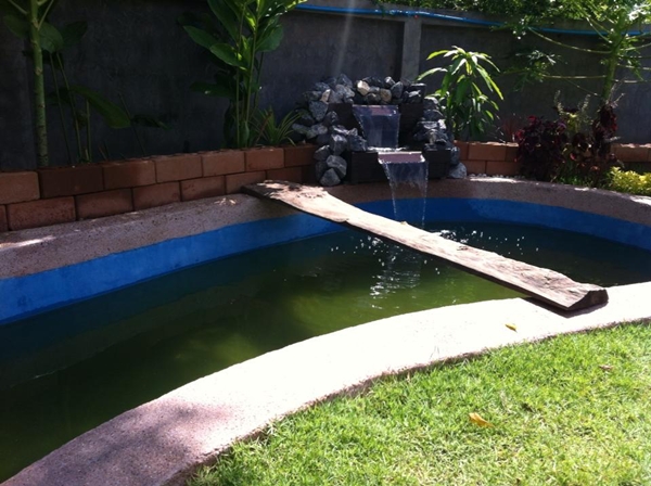 ขุดบ่อปลาคาร์พเองแบบไม่ได้ตั้งใจ ผลงานเจ๋งไปเลย