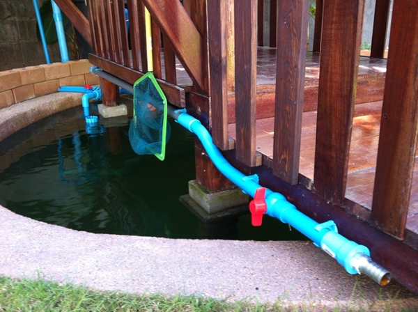 ขุดบ่อปลาคาร์พเองแบบไม่ได้ตั้งใจ ผลงานเจ๋งไปเลย