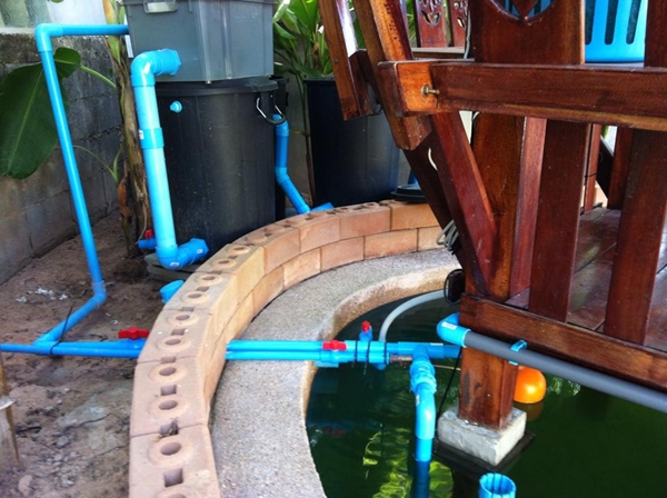 ขุดบ่อปลาคาร์พเองแบบไม่ได้ตั้งใจ ผลงานเจ๋งไปเลย