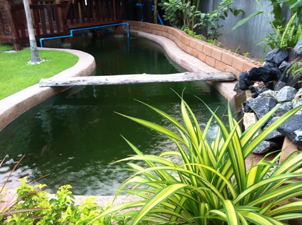 ขุดบ่อปลาคาร์พเองแบบไม่ได้ตั้งใจ ผลงานเจ๋งไปเลย