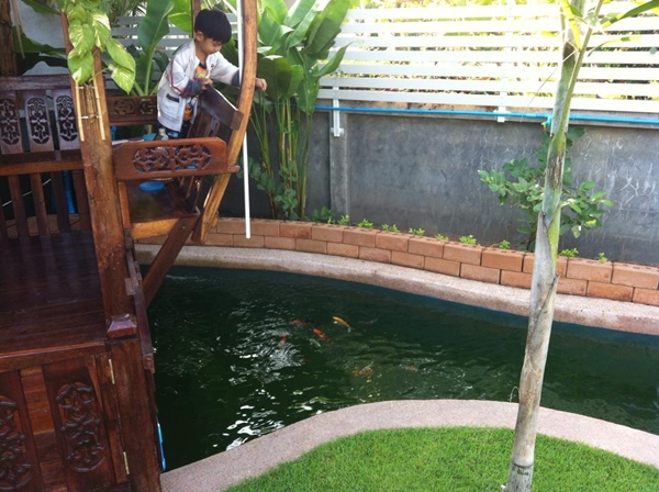 ขุดบ่อปลาคาร์พเองแบบไม่ได้ตั้งใจ ผลงานเจ๋งไปเลย