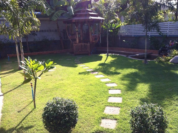 ขุดบ่อปลาคาร์พเองแบบไม่ได้ตั้งใจ ผลงานเจ๋งไปเลย