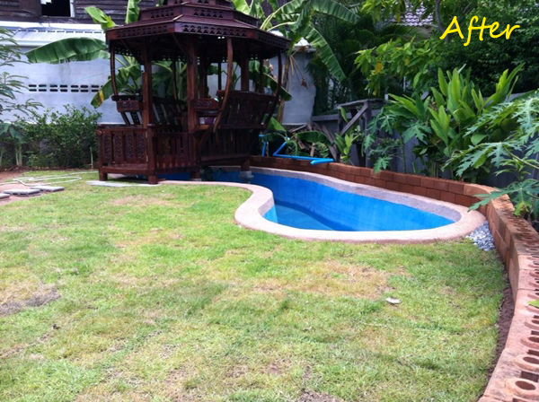 ขุดบ่อปลาคาร์พเองแบบไม่ได้ตั้งใจ ผลงานเจ๋งไปเลย