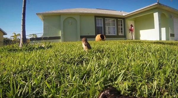 คลิปนกฮูก โชว์สเต็ปแดนซ์สุดฮา 