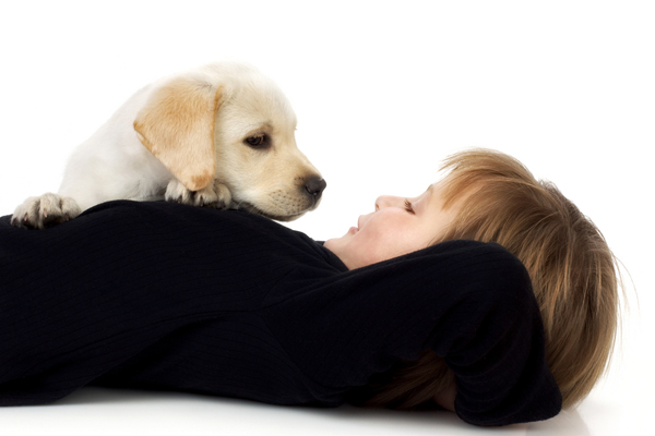 7 พฤติกรรมน่าสงสัย สัตว์เลี้ยงอยากบอกอะไรกับเรานะ 