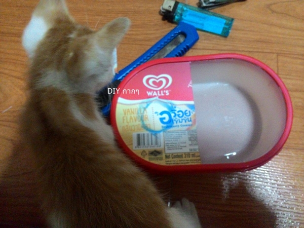 สอนทำที่ให้น้ำสัตว์เลี้ยง ด้วยงบ 0 บาท