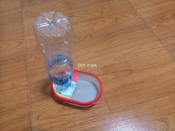 สอนทำที่ให้น้ำสัตว์เลี้ยง ด้วยงบ 0 บาท
