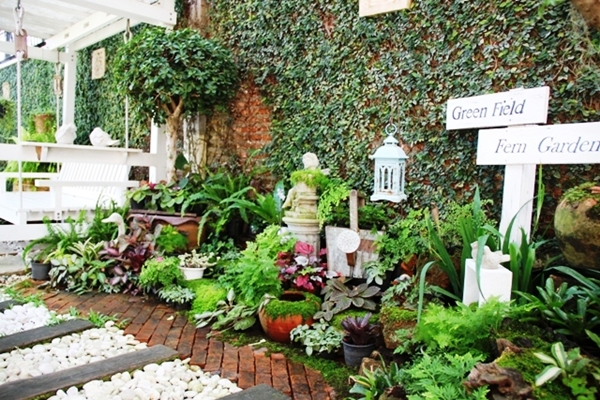 จัดสวนมอสส์สวย ๆ ให้เป็นสวนหย่อมข้างบ้าน