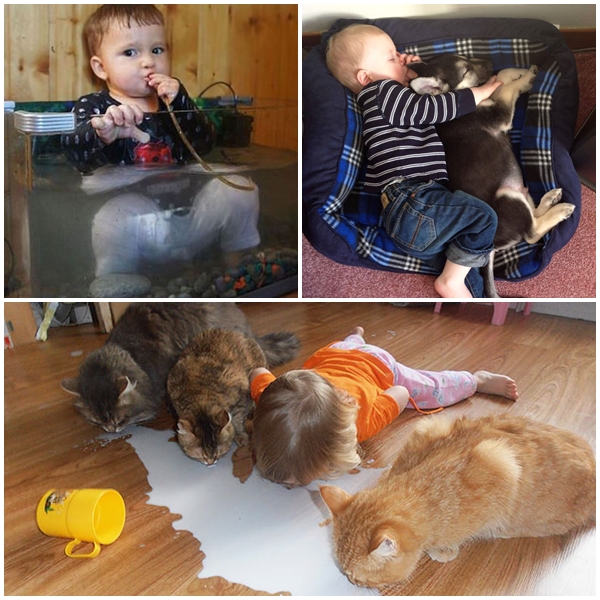 15 หนูน้อยสุดฮา ที่คิดว่าตัวเองแปลงร่างเป็นสัตว์