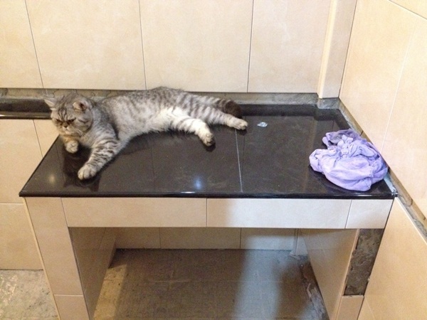Renovate ห้องน้ำเก่า ทุบทิ้งทำใหม่จนเกือบจำไม่ได้