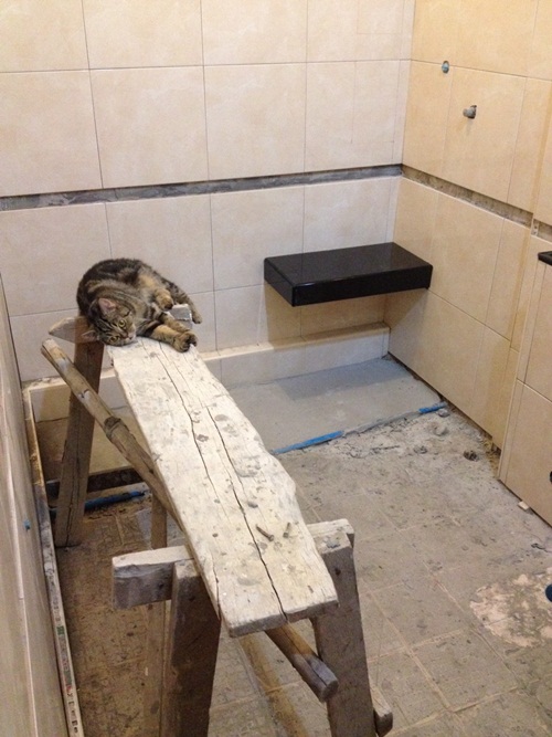 Renovate ห้องน้ำเก่า ทุบทิ้งทำใหม่จนเกือบจำไม่ได้