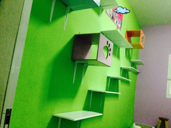 D.I.Y. ห้องนอนแมว ที่นอนแมว