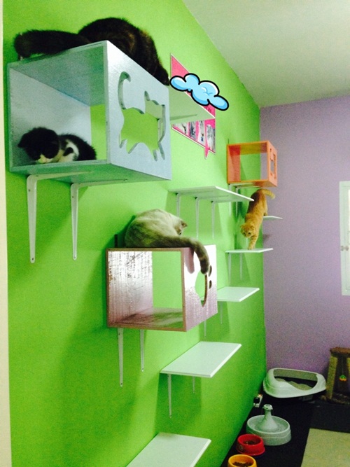 D.I.Y. ห้องนอนแมว ที่นอนแมว
