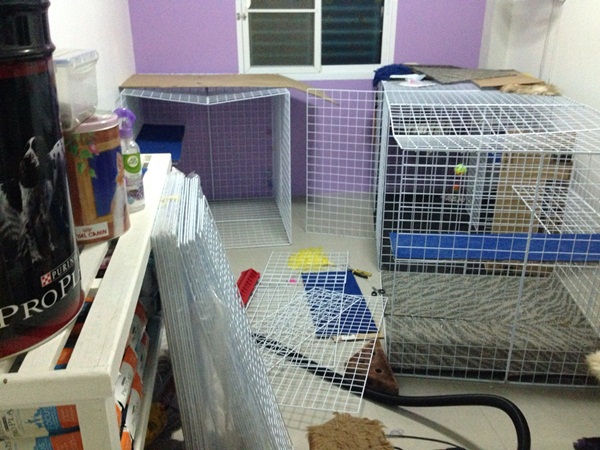 D.I.Y. ห้องนอนแมว ที่นอนแมว