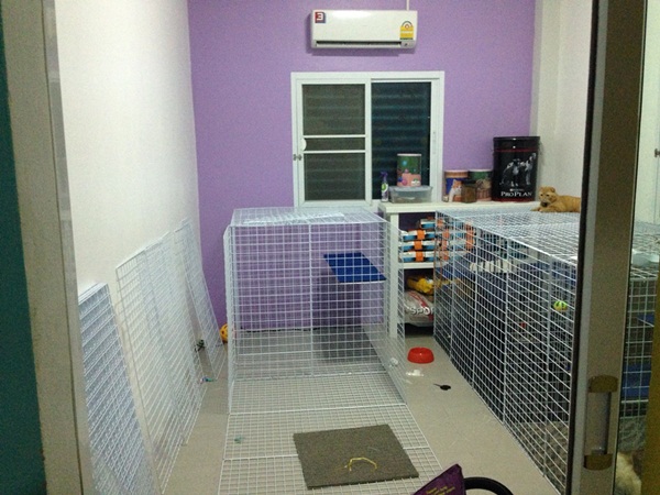 D.I.Y. ห้องนอนแมว ที่นอนแมว