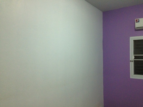 D.I.Y. ห้องนอนแมว ที่นอนแมว