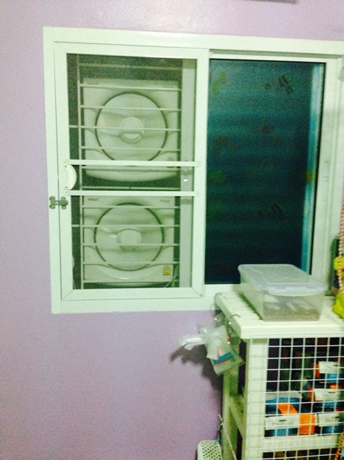 D.I.Y. ห้องนอนแมว ที่นอนแมว