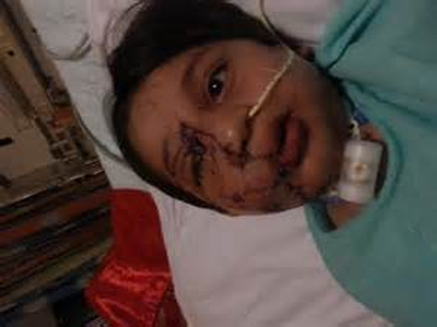 หมาติดคุกตลอดชีวิต