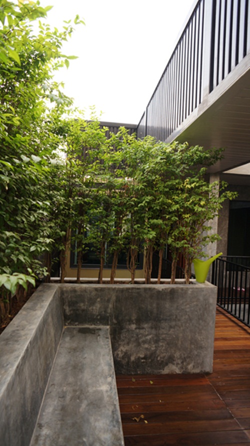 renovate บ้านเก่า ให้สวยเช้งแบบโมเดิร์นลอฟท์ renovate บ้านเก่า ให้สวยเช้งแบบโมเดิร์นลอฟท์