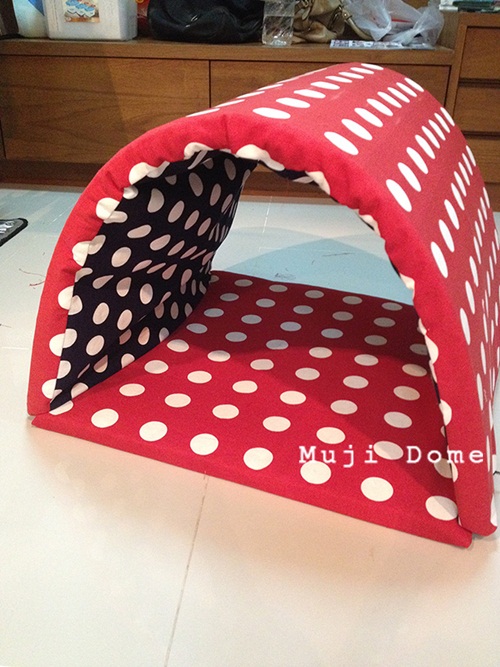 D.I.Y. บ้านโดมสุนัข เสกบ้านน่ารัก ๆ ให้น้องหมา