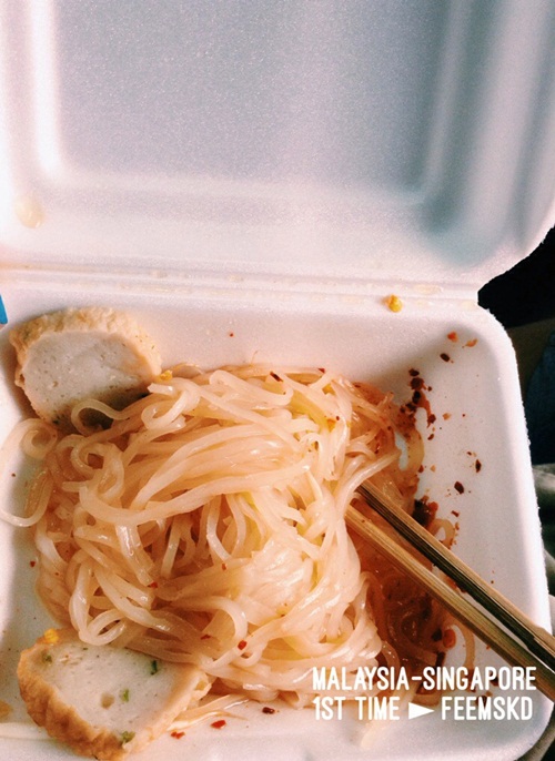 นั่งรถไฟไทยขบวนที่ 35 สู่ มาเลเซีย สิงคโปร์ กับงบ 8,500 บาท