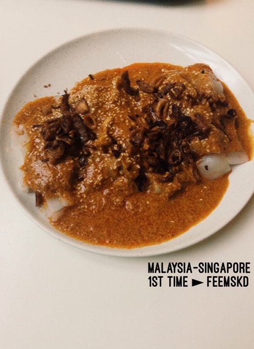 นั่งรถไฟไทยขบวนที่ 35 สู่ มาเลเซีย สิงคโปร์ กับงบ 8,500 บาท