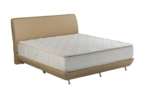 7 วิธีง่าย ๆ กำจัดแมลงภายในห้องนอนให้อยู่หมัด