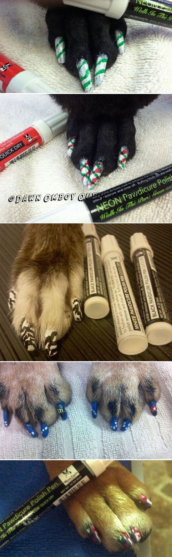 ทำเล็บให้น้องหมา เทรนด์นี้มาแรงใช่เล่น