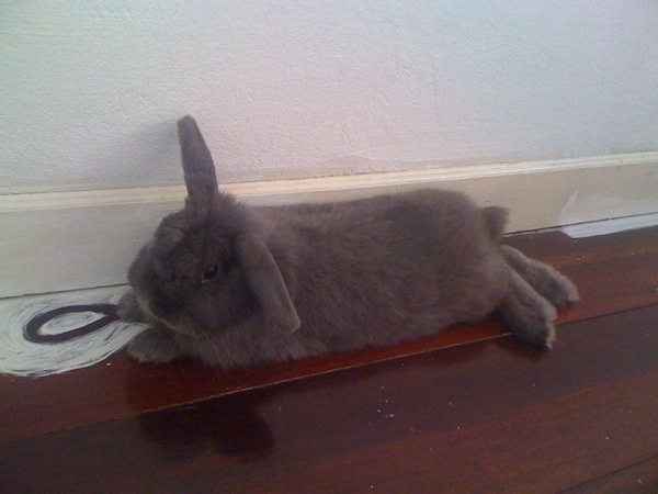 แต่งห้องนอนใหม่หวาน ๆ ฉบับคนงบน้อย