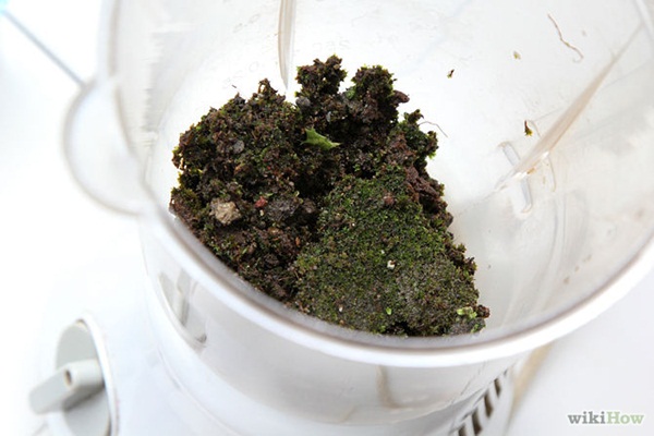 แต่งผนังมอสส์ลายกราฟิตี้ ครีเอทสวนสวยแบบเด็กแนว