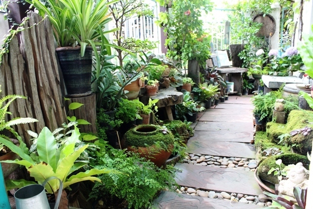 ไอเดียจัดสวนเล็ก ๆ ริมรั้ว ด้วยตัวเอง