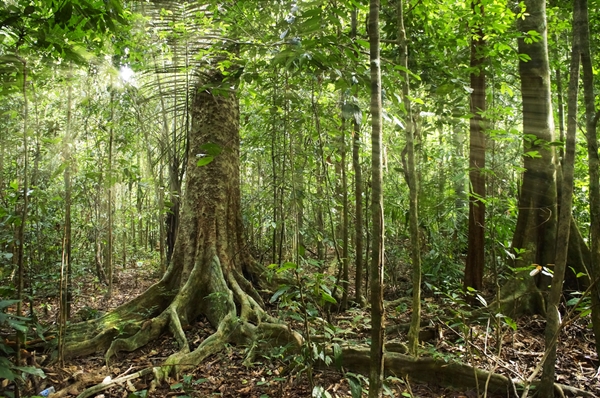 สถานท่องเที่ยวธรรมชาติ 7 แห่ง ที่ไม่ควรพลาดในปี 2013