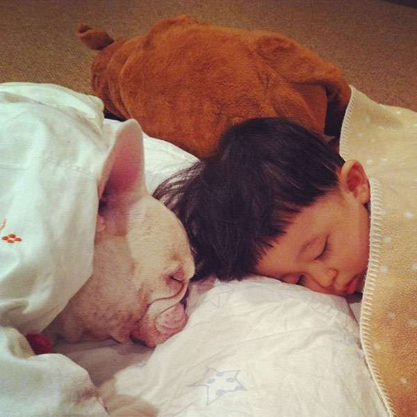 รูปภาพน่ารัก หนูน้อยญี่ปุ่น กับ เจ้าตูบ