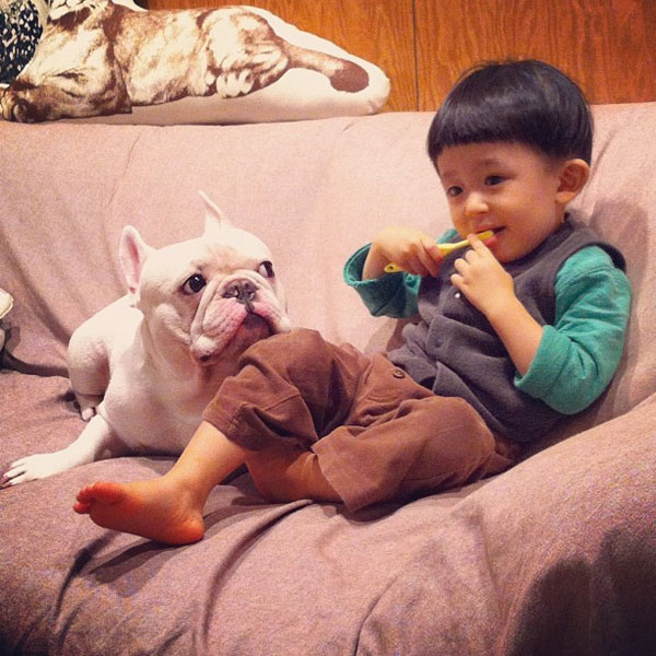 รูปภาพน่ารัก หนูน้อยญี่ปุ่น กับ เจ้าตูบ