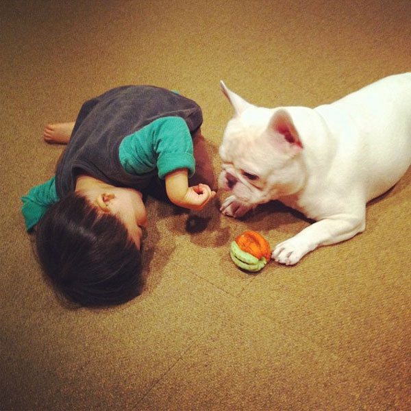 รูปภาพน่ารัก หนูน้อยญี่ปุ่น กับ เจ้าตูบ