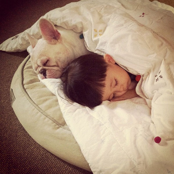 รูปภาพน่ารัก หนูน้อยญี่ปุ่น กับ เจ้าตูบ