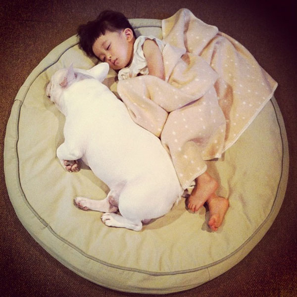 รูปภาพน่ารัก หนูน้อยญี่ปุ่น กับ เจ้าตูบ