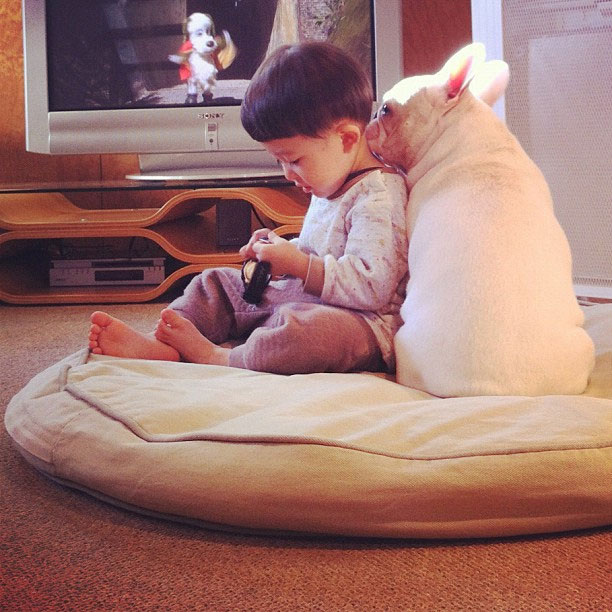 รูปภาพน่ารัก หนูน้อยญี่ปุ่น กับ เจ้าตูบ