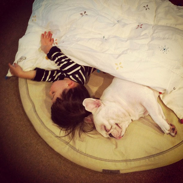 รูปภาพน่ารัก หนูน้อยญี่ปุ่น กับ เจ้าตูบ