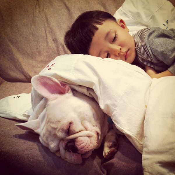 รูปภาพน่ารัก หนูน้อยญี่ปุ่น กับ เจ้าตูบ