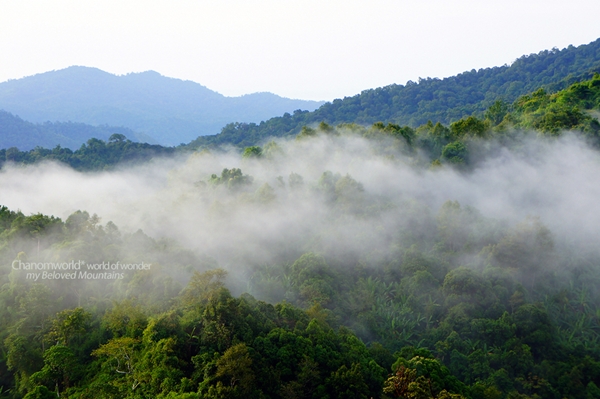 กำแพงเพชร เที่ยวเมืองโบราณ สัมผัสธรรมชาติและสายหมอก ณ เมืองกำแพงเพชร