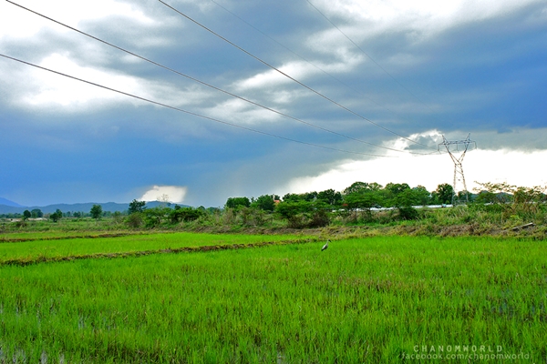 กำแพงเพชร เที่ยวเมืองโบราณ สัมผัสธรรมชาติและสายหมอก ณ เมืองกำแพงเพชร