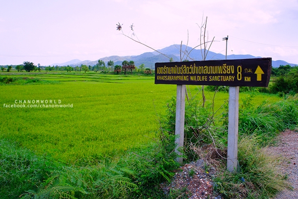 กำแพงเพชร เที่ยวเมืองโบราณ สัมผัสธรรมชาติและสายหมอก ณ เมืองกำแพงเพชร